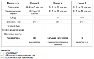 Анализ мазка на гонококки: расшифровка